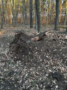 Einsatzbild