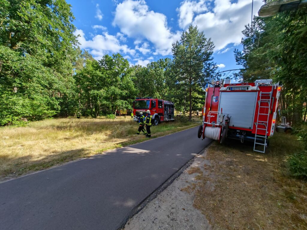 Brand / F2_Wald/Fläche_Vegetationsbrand / Viereck OT Stallberg