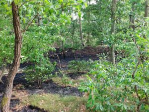 Einsatzbild