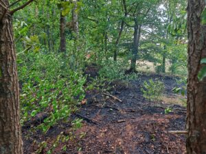 Einsatzbild